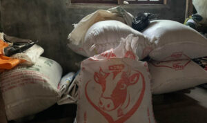 IMG-20240513-WA0000