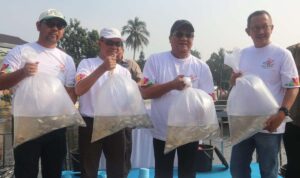 1717238404-IMG-20240531-WA0004