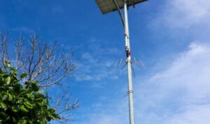 arsip-berita-kementerian-esdm-serahkan-350-lampu-jalan-tenaga-surya-kepada-kabupaten-langkat-v5rsogz