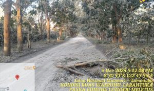 dampak-erupsi-gunung-lewotobi-laki-laki-di-flores-timur-kementerian-pu-kerahkan-alat-berat-buka-akses-maumere-larantuka-5-11-24 Gunung Lewotobi Laki - Laki_1