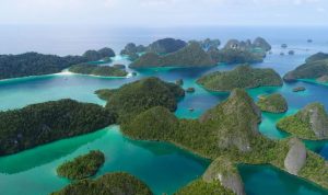 kkp-berhasil-lindungi-populasi-pari-hiu-wisata-bahari-raja-ampat-makin-mendunia (1)