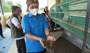kkp-peringati-hgn-dengan-perkuat-hilirisasi-rumput-laut-di-karawang (1)