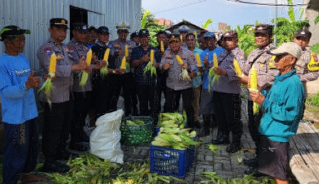 Polres Pelabuhan Tanjung Perak menggelar panen jagung manis di lahan pertanian Kelurahan Tambak Wedi, Kecamatan Kenjeran.