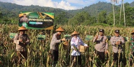Polres Pacitan Polda Jatim bersama petani dan pejabat setempat melaksanakan panen jagung bersama.