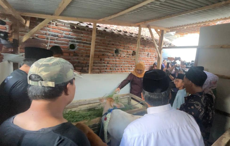 Gubernur Jatim Khofifah Indar Parawansa menyerahkan dua pasang sapi kepada Nanda dan keluarganya.
