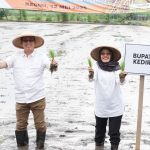 Kegiatan tanam padi di Kabupaten Kediri.
