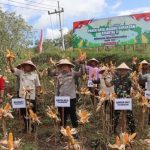 Polres Tulungagung mengadakan kegiatan panen jagung massal kuartal II tahun 2025. (Foto: Polres Tulungagung)