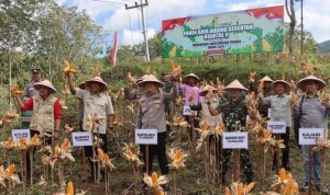 Polres Tulungagung mengadakan kegiatan panen jagung massal kuartal II tahun 2025. (Foto: Polres Tulungagung)
