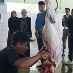 Wali Kota Kediri, Vinanda Prameswati, melakukan kunjungan kerja ke UPTD RPH Kelurahan Pojok.