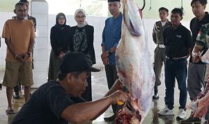 Wali Kota Kediri, Vinanda Prameswati, melakukan kunjungan kerja ke UPTD RPH Kelurahan Pojok.
