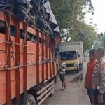 Satuan Patroli Pengawasan Lalu Lintas (Turjawali) Satlantas Polres Kediri Kota menindak sejumlah truk yang melanggar aturan muatan dan mengangkut penumpang secara ilegal selama kegiatan patroli rutin.