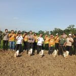 Penanaman jagung di Kanigoro, Kabupaten Blitar, Rabu, 9 Juli 2025