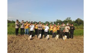 Penanaman jagung di Kanigoro, Kabupaten Blitar, Rabu, 9 Juli 2025