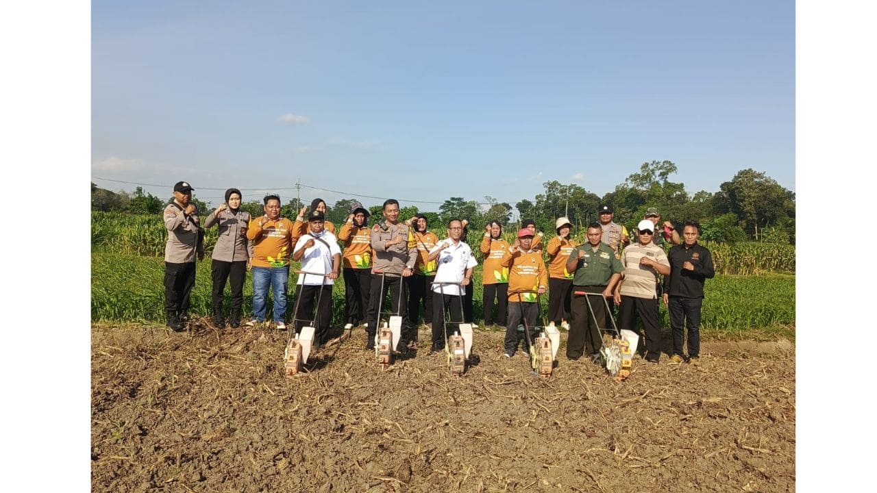 Penanaman jagung di Kanigoro, Kabupaten Blitar, Rabu, 9 Juli 2025