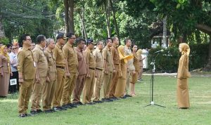 54773200368_aa2bee894b_z