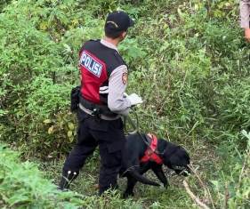 8-k-9