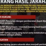 WhatsApp Image 2025-09-02 at 12.04.53