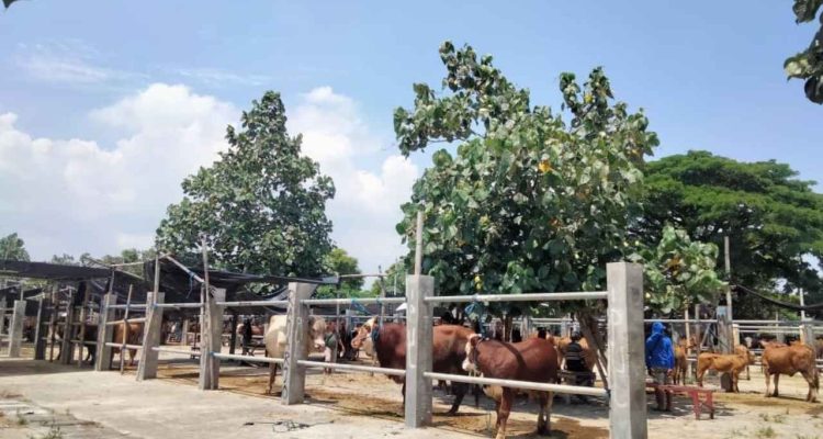 serayu-nusantara-gambar- - 1