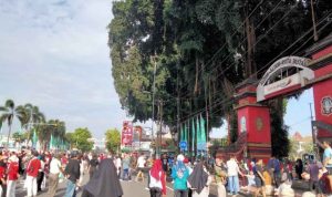 Serayu-nusantara - 1