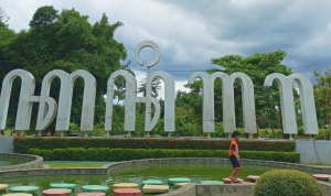 Serayu Nusantara (3)