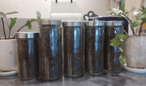 Serayu Nusantara (59)