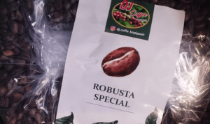 Serayu Nusantara (60)