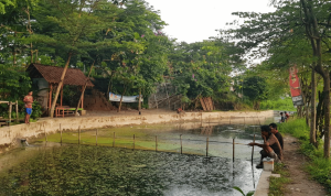 Serayunusantara.com (17)