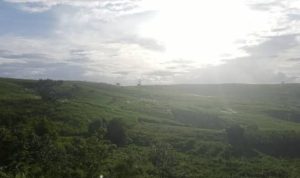 serayu-nusantara-gambar- - 1