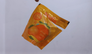 Serayu Nusantara (18)