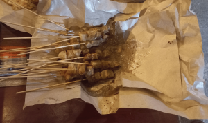 Serayu Nusantara (2)