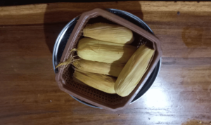 Serayu Nusantara (36)