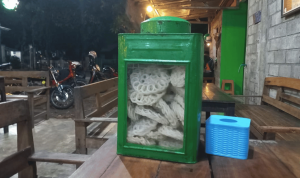 Serayu Nusantara (5)