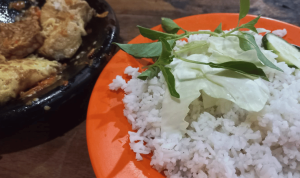 Serayu Nusantara (55)