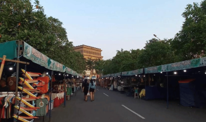 Serayu Nusantara (8)