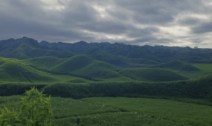 Serayunusantara.com (17)