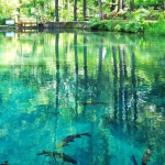 Serayunusantara.com (30)