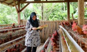 bdjuzjkrxn_whatsapp-image-2025-12-11-at-171118 (1)