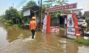 12537-695a34ff96c63 (1)