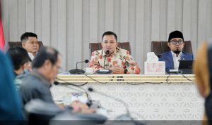 13073-6967b7b338d79 (1)