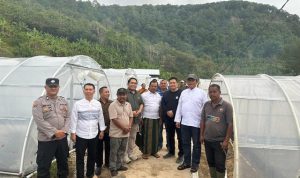 1767538122_0b2c75688b26ccbae2c7 (1) (1)