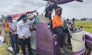 IMG_20260128_145625 (1)