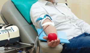 Serayunusantara.com (31)