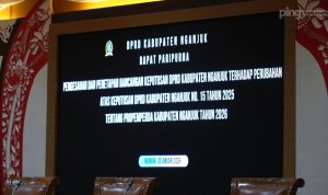 f184ec0dad2d5bd671ba98c3e994775d (1)