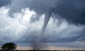 Serayunusantara.com (95)