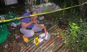 serayunusantara.com-gambar- - 1