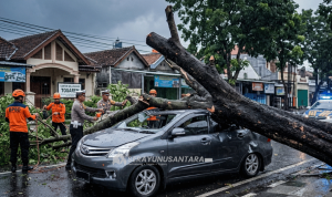 serayunusantara.com-gambar- (24)