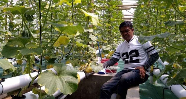 serayunusantara.com-gambar-